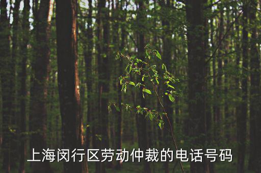 閔行區(qū)勞動爭議仲裁院電話，我想問一下上海市閔行區(qū)勞動局電話是多少
