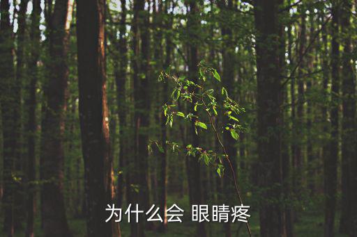 為什么會 眼睛疼