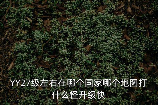 YY27級(jí)左右在哪個(gè)國(guó)家哪個(gè)地圖打什么怪升級(jí)快
