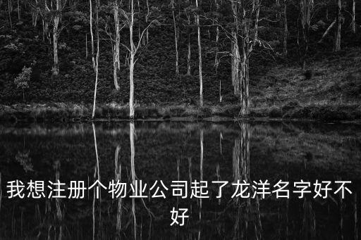 我想注冊個物業公司起了龍洋名字好不好