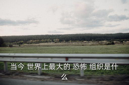 當今 世界上最大的 恐怖 組織是什么