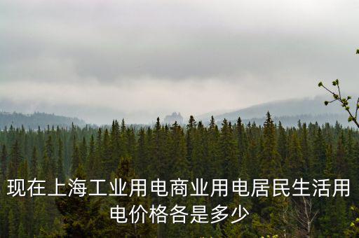 現在上海工業用電商業用電居民生活用電價格各是多少