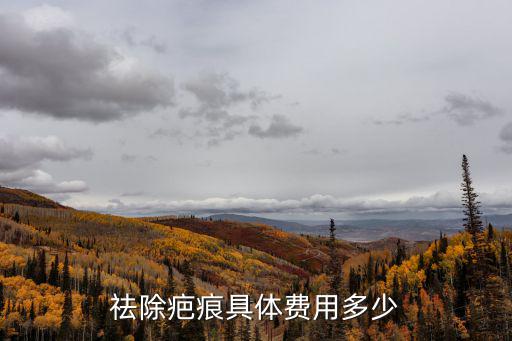 祛除疤痕具體費(fèi)用多少