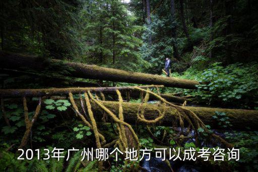 2013年廣州哪個地方可以成考咨詢