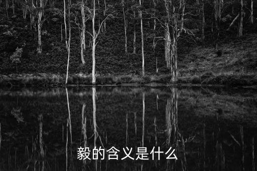 毅的含義是什么