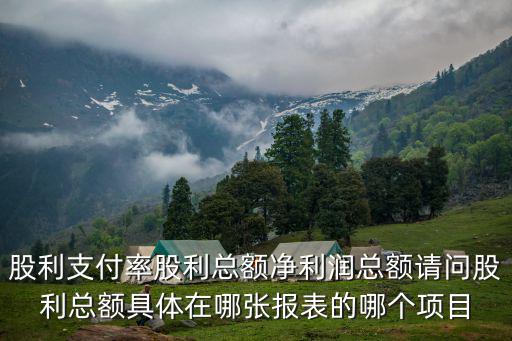 上海市化工類上市公司股利支付率，股利支付率如何計(jì)算呢