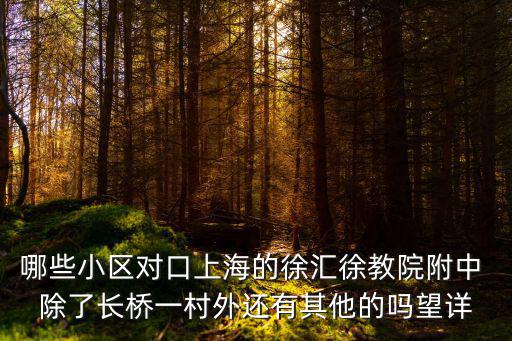 上海市徐匯中學對口小區，誰知道徐匯區比較好的中學及其對口小學的情況