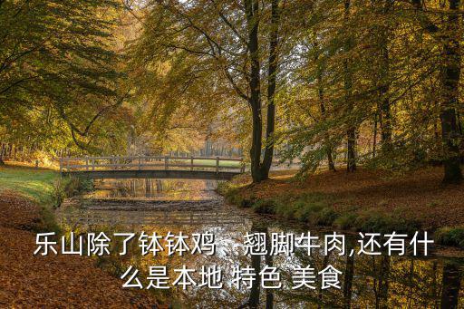  樂(lè)山除了缽缽雞、翹腳牛肉,還有什么是本地 特色 美食