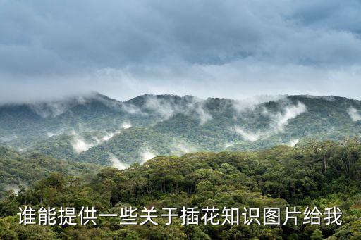 誰能提供一些關于插花知識圖片給我