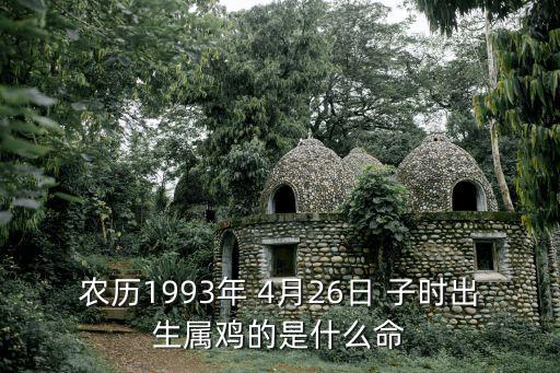 農歷1993年 4月26日 子時出生屬雞的是什么命