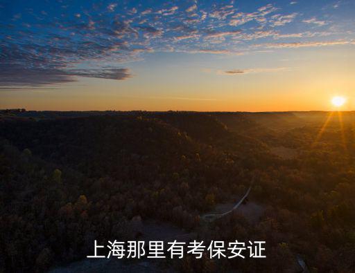 上海那里有考保安證