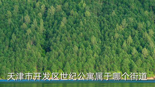 天津市開發區世紀公寓屬于哪個街道