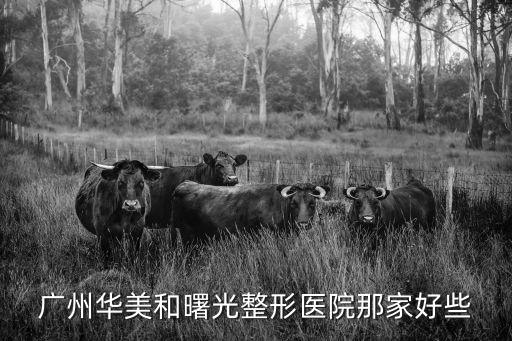 廣東省整形醫院廣州華美有名，廣州華美整形和上海華美整形哪個好