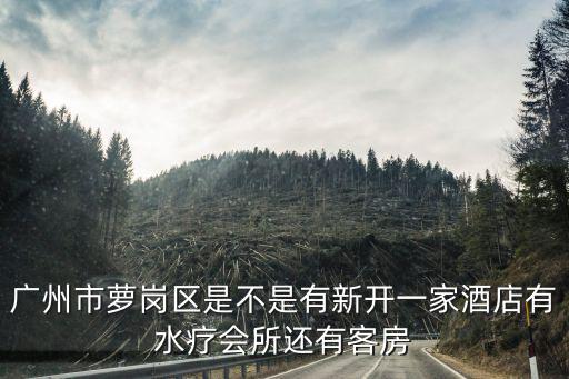 廣州市蘿崗區是不是有新開一家酒店有水療會所還有客房