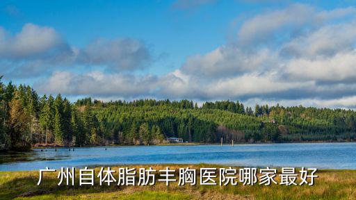 廣州自體脂肪隆胸選擇紫 馨有譜，廣州自體脂肪豐胸哪家醫院效果好