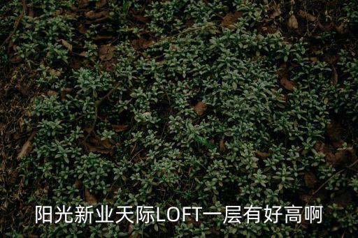 廣州水悅城loft，陽光新業天際LOFT一層有好高啊
