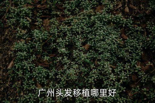 廣州植發哪好優選新生3d，廣州毛發移植哪里好