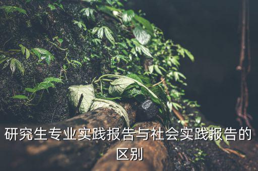 研究生專業實踐報告與社會實踐報告的區別