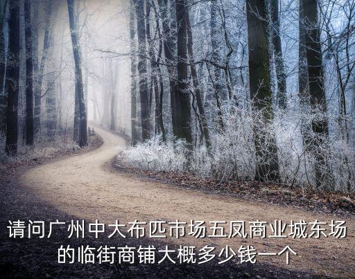請(qǐng)問(wèn)廣州中大布匹市場(chǎng)五鳳商業(yè)城東場(chǎng)的臨街商鋪大概多少錢一個(gè)