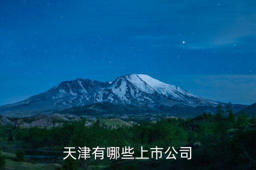 天津有哪些上市公司