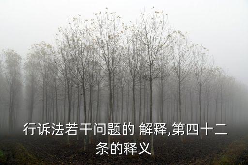  行訴法若干問題的 解釋,第四十二條的釋義