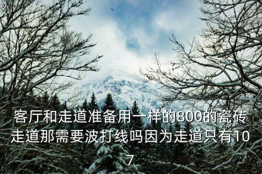 客廳和走道準備用一樣的800的瓷磚走道那需要波打線嗎因為走道只有107