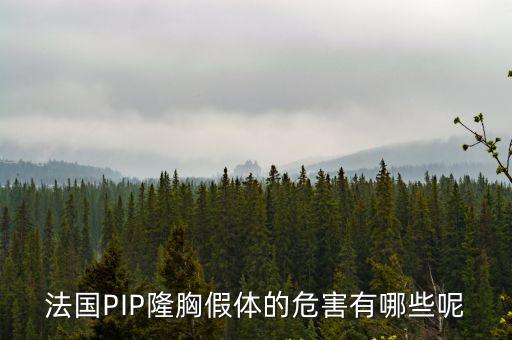 法國PIP隆胸假體的危害有哪些呢