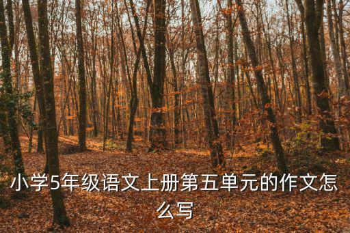 小學5年級語文上冊第五單元的作文怎么寫