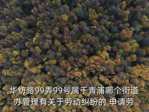 上海市青浦區勞動仲裁地址，上海 青浦區徐涇仲裁委員會在哪