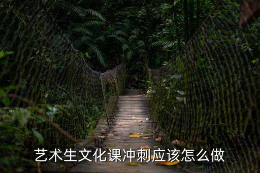 藝術生文化課沖刺應該怎么做