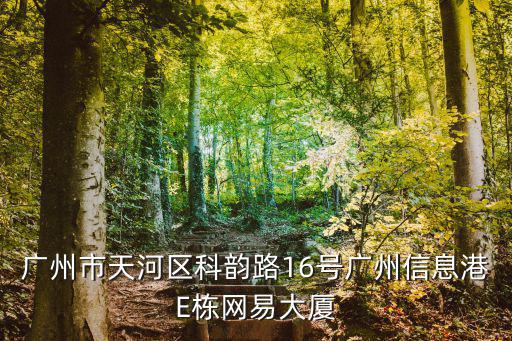 廣州市天河區科韻路16號廣州信息港E棟網易大廈