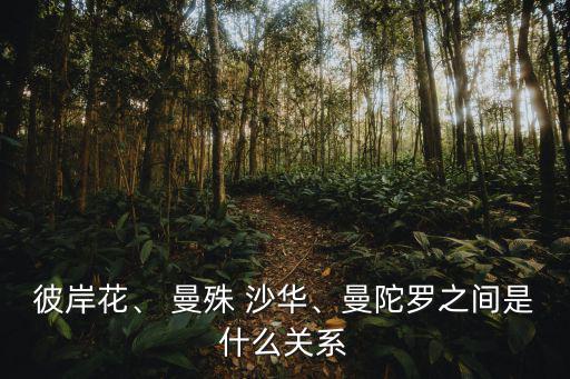 彼岸花、 曼殊 沙華、曼陀羅之間是什么關系