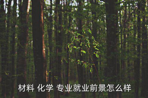  材料 化學 專業就業前景怎么樣