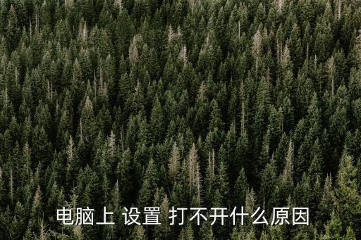 電腦設(shè)置打不開,電腦設(shè)置打不開怎么辦?看這里!