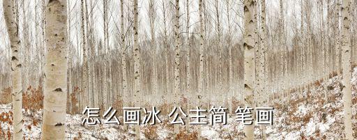 公主的簡筆畫,第一集:第二集
