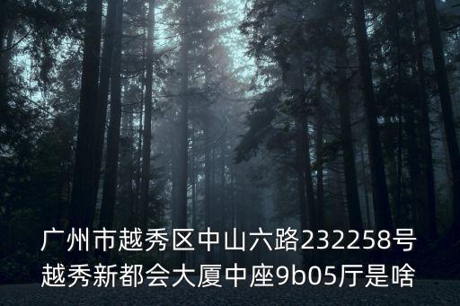 廣州市越秀區中山六路232258號越秀新都會大廈中座9b05廳是啥