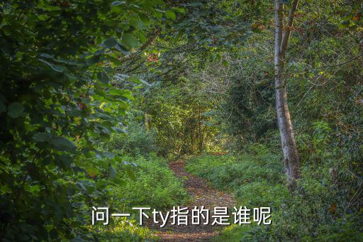 問一下ty指的是誰呢