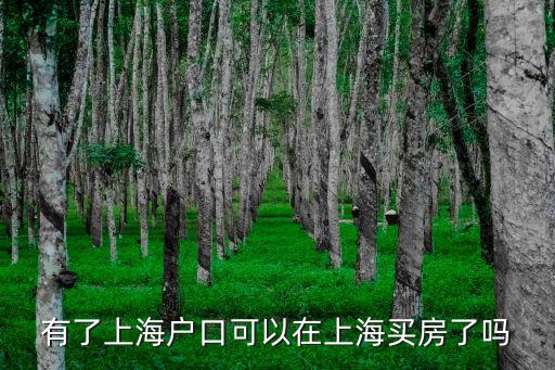 有了上海戶(hù)口可以在上海買(mǎi)房了嗎