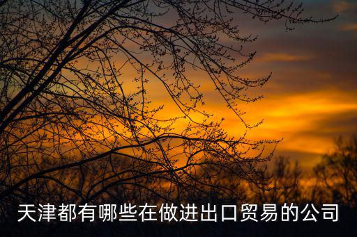 天津都有哪些在做進出口貿易的公司