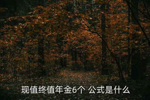  現(xiàn)值終值年金6個 公式是什么