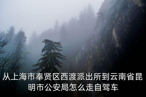 上海市西渡鎮派出所地址，上海西渡派出所可以辦身份證么