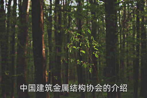 中國(guó)建筑金屬結(jié)構(gòu)協(xié)會(huì)的介紹