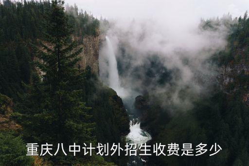 重慶八中計劃外招生收費是多少
