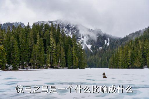 驚弓之鳥比喻什么，驚弓之鳥的意思及喻義