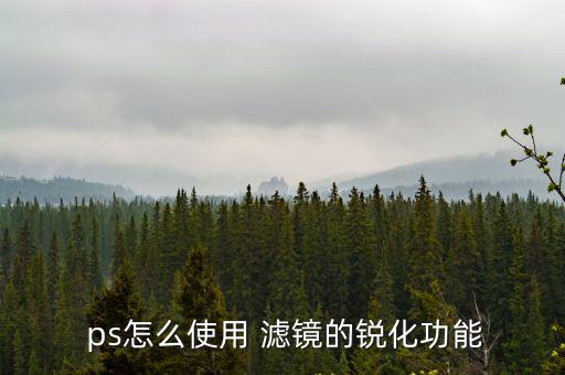 ps濾鏡怎么用,濾鏡有什么用?