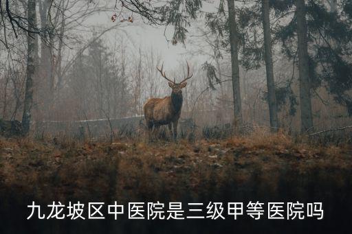 九龍坡區中醫院是三級甲等醫院嗎