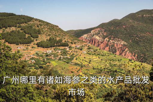 廣州海參批發(fā)市場在哪豬仔參，海參市場在哪