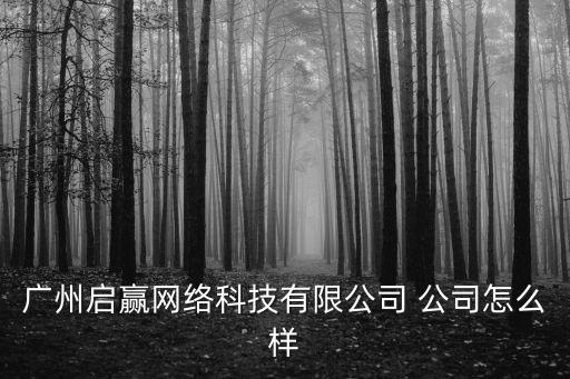 廣州啟贏網絡科技有限公司 公司怎么樣