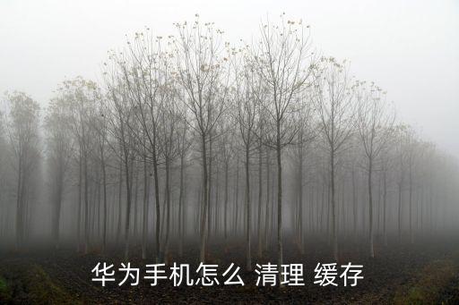 華為手機怎么 清理 緩存