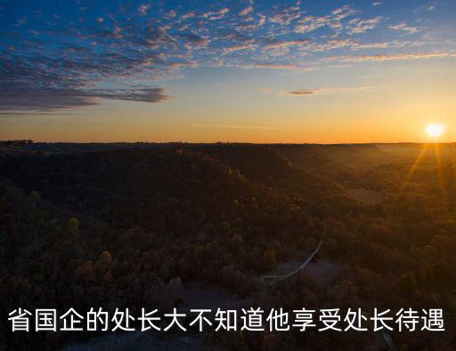 省國企的處長大不知道他享受處長待遇